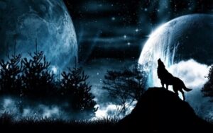 Черные псы во сне - посланники, спутники богини Гекаты, символы стражи, хранителей проходов между мирами, Что значит черная собака во сне