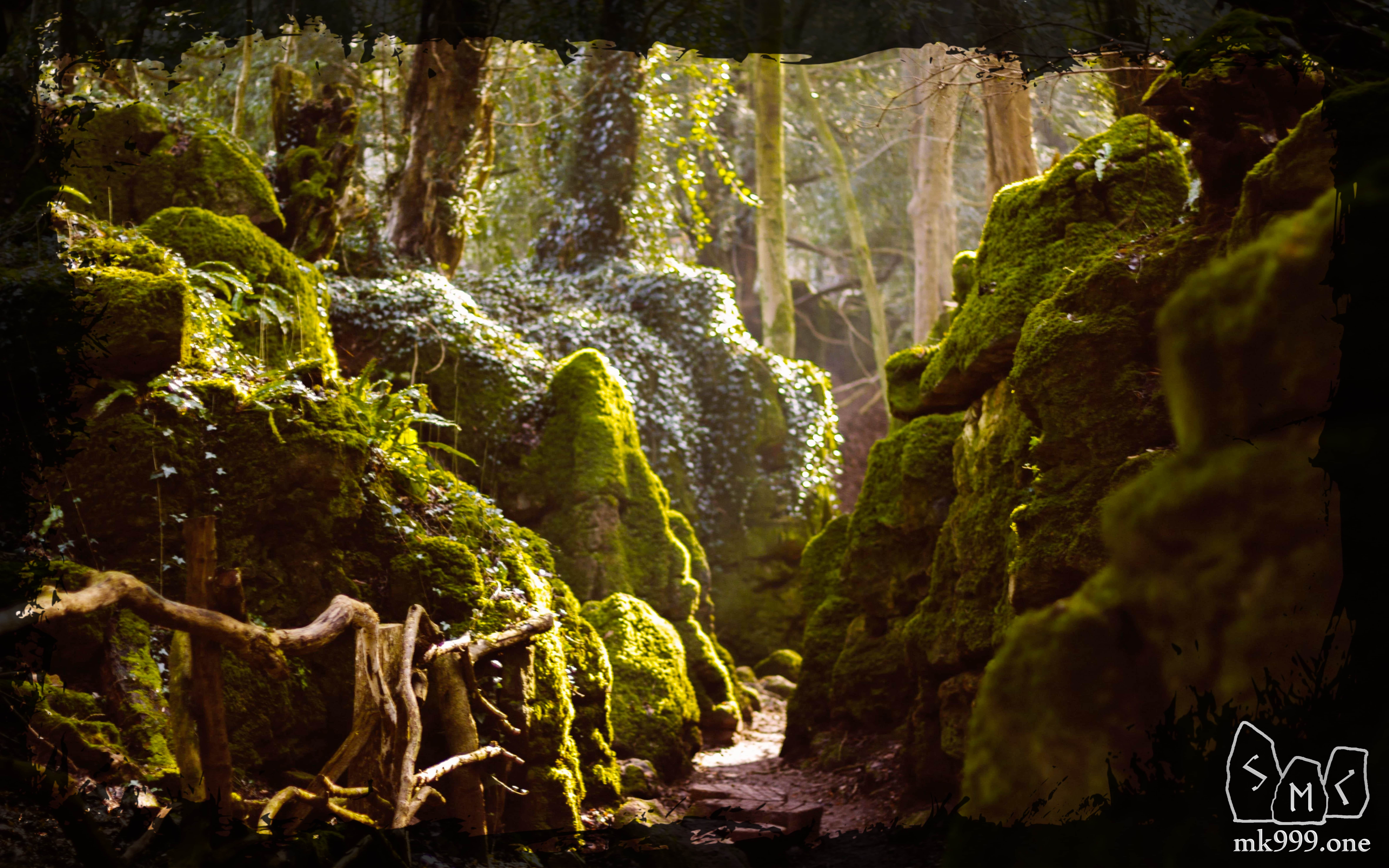 Магический лес Пазлвуд на западе Англии имеет множество тайных пещер и скальных образований, гигантский лабиринт с замысловатыми путями